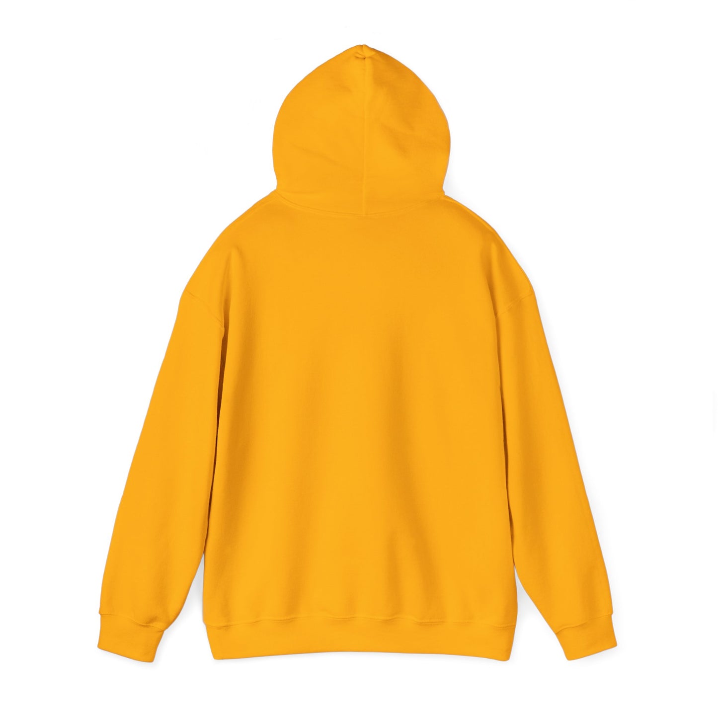 Nyx Gore Hooded Sweatshirt