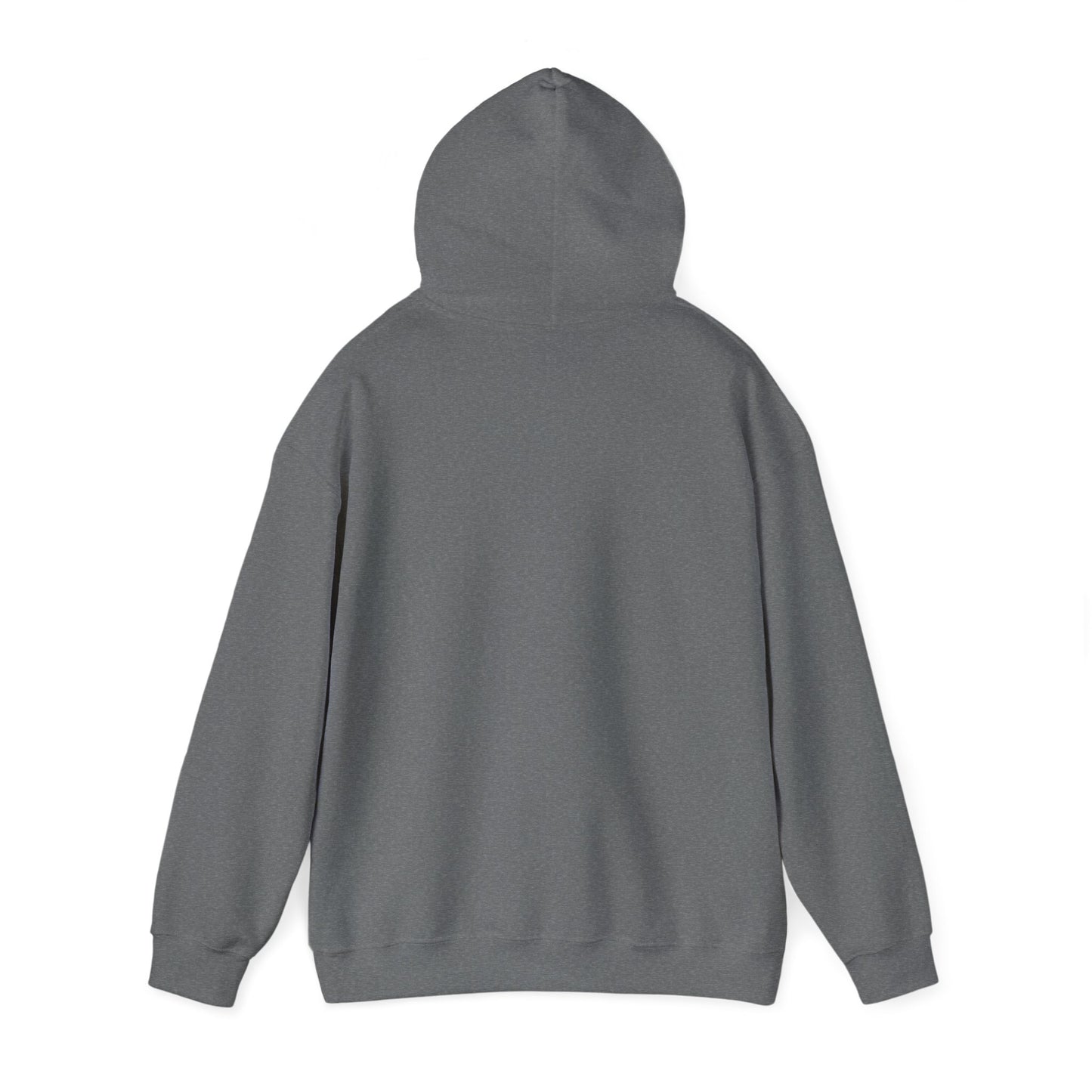 Nyx Gore Hooded Sweatshirt