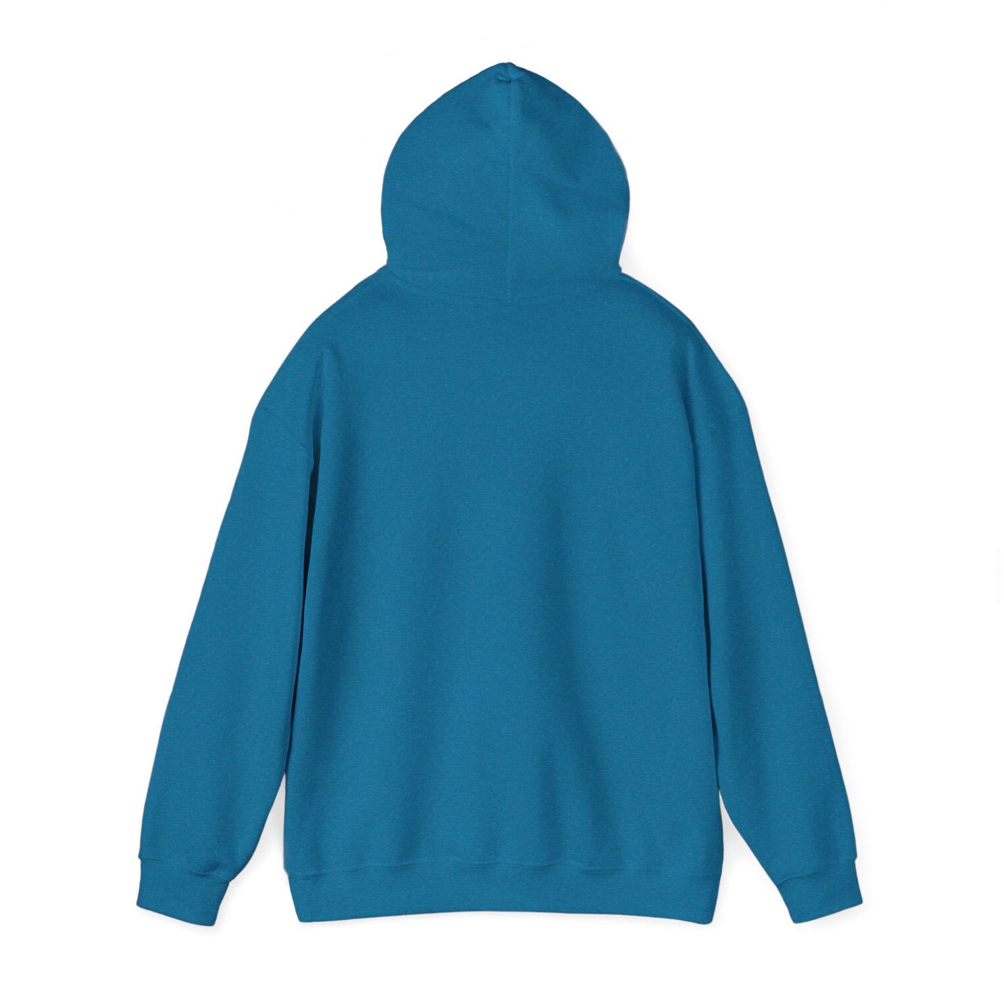 Nyx Gore Hooded Sweatshirt