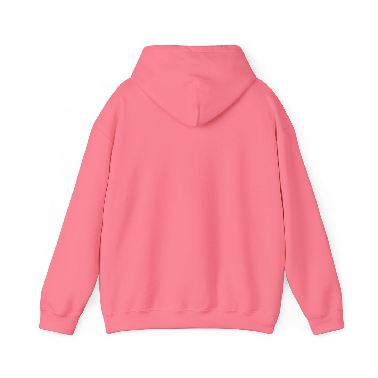 Nyx Gore Hooded Sweatshirt