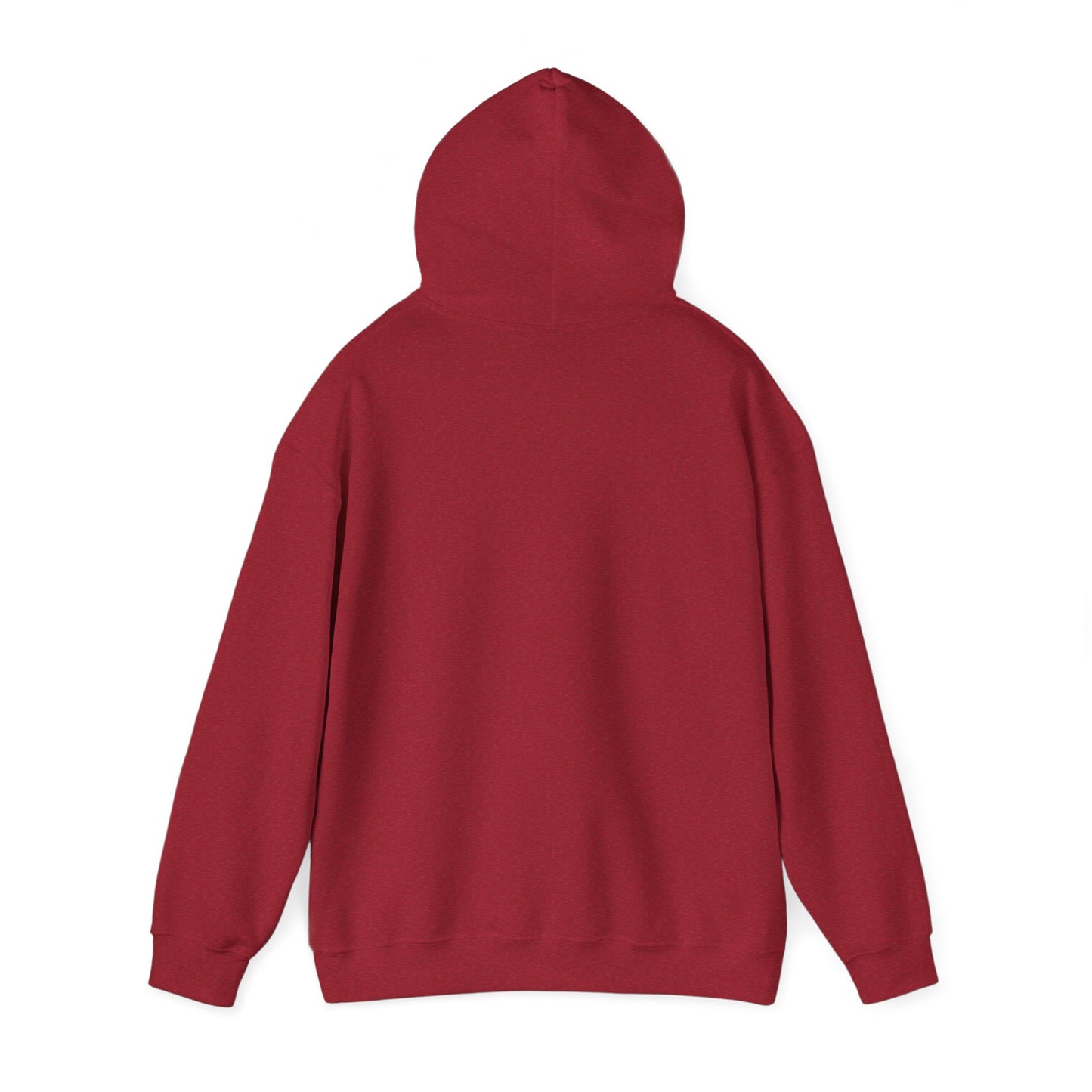 Nyx Gore Hooded Sweatshirt