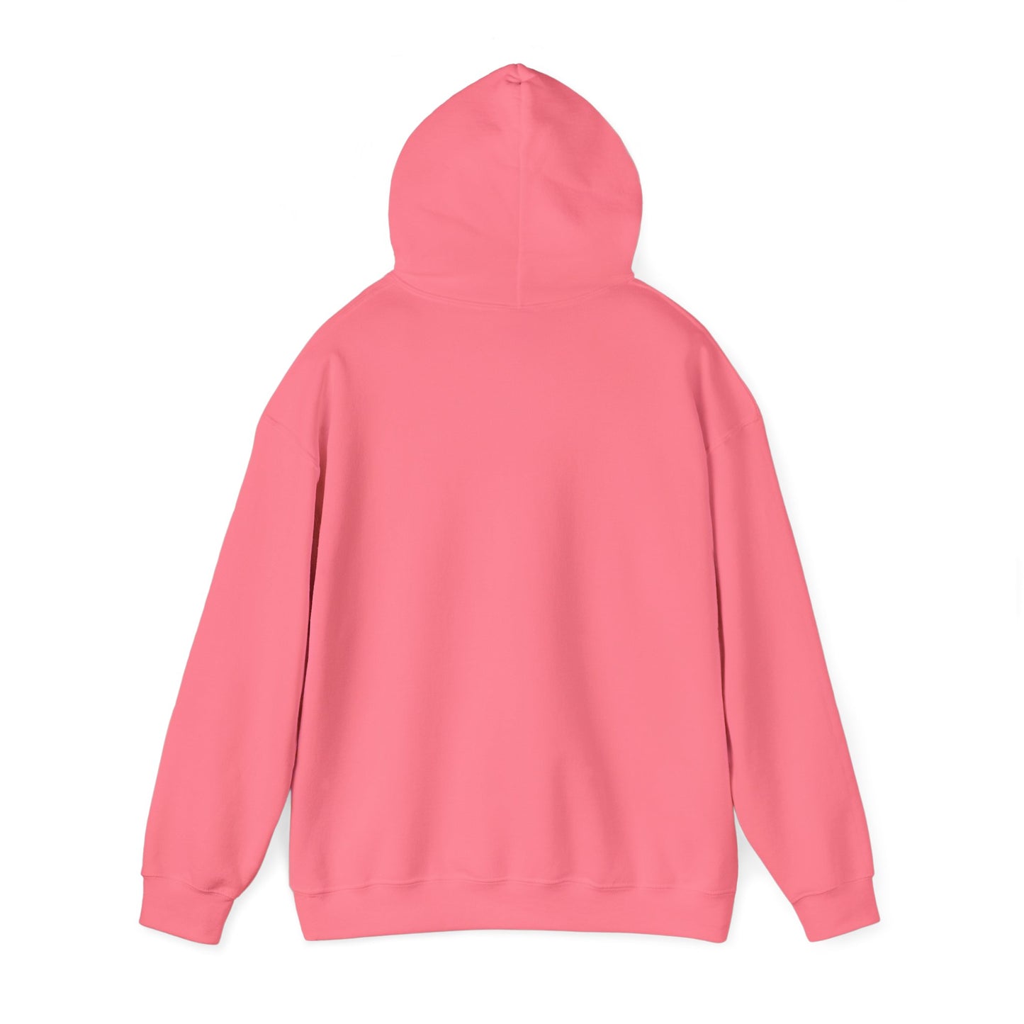 Nyx Gore Hooded Sweatshirt