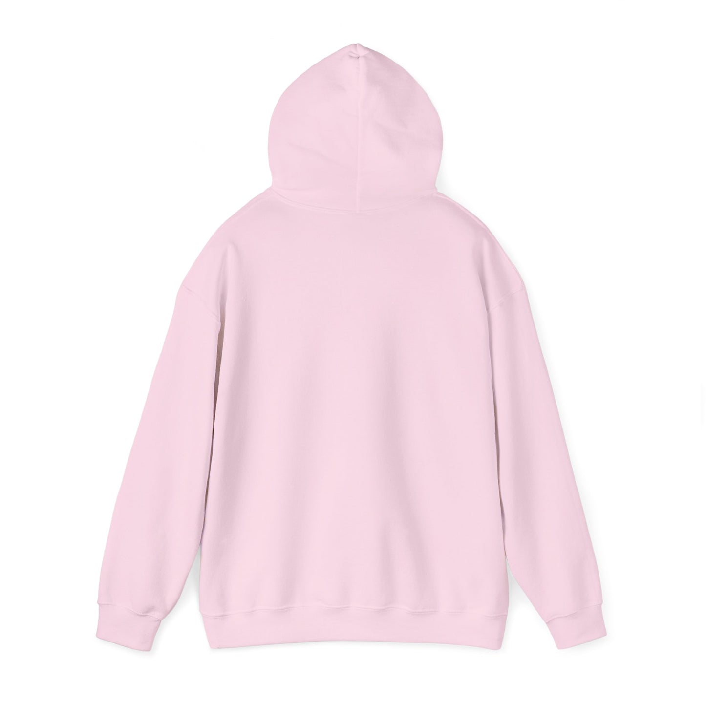 Nyx Gore Hooded Sweatshirt